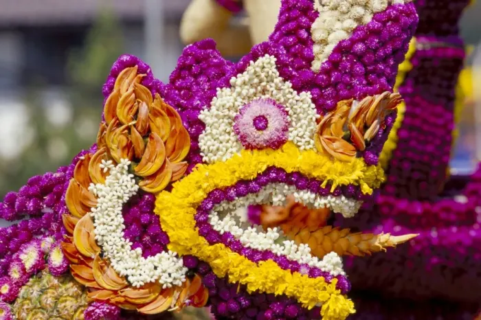 Framed Print : Nagas (sacred snake) detail of a bedecked floral float Framed Print : Nagas (sacred snake) detail of a bedecked floral float
