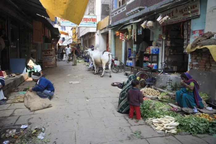 Framed Print : Narrow lane in the Old City, Varanasi, Uttar Pradesh, India Framed Print : Narrow lane in the Old City, Varanasi, Uttar Pradesh, India