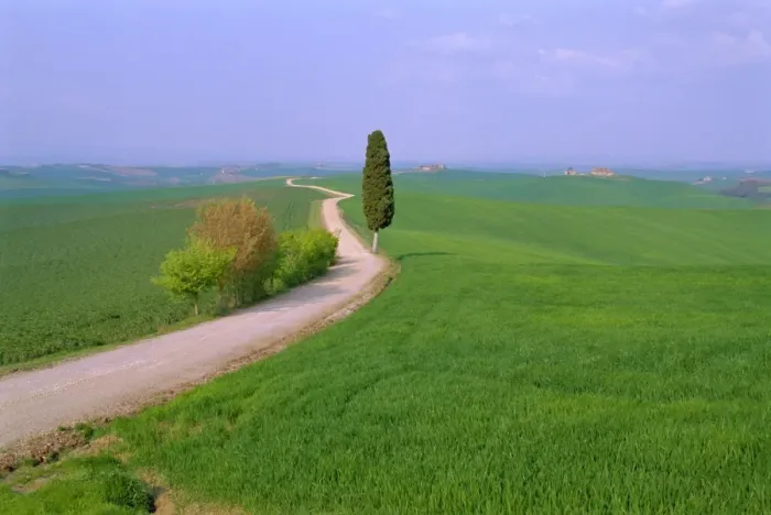 Framed Print : Narrow road through countryside near Siena Framed Print : Narrow road through countryside near Siena