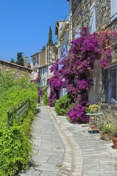 Narrow street, Grimaud Medieval village, Var, Provence Alpes Cote d Azur region, France