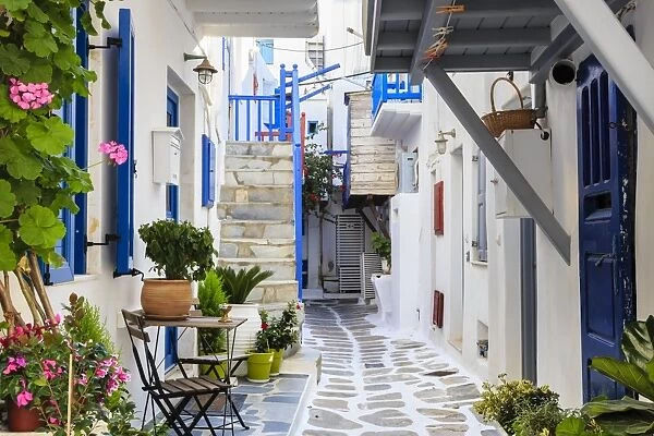 Narrow street, whitewashed buildings with blue paint work, flowers, Mykonos Town (Chora)