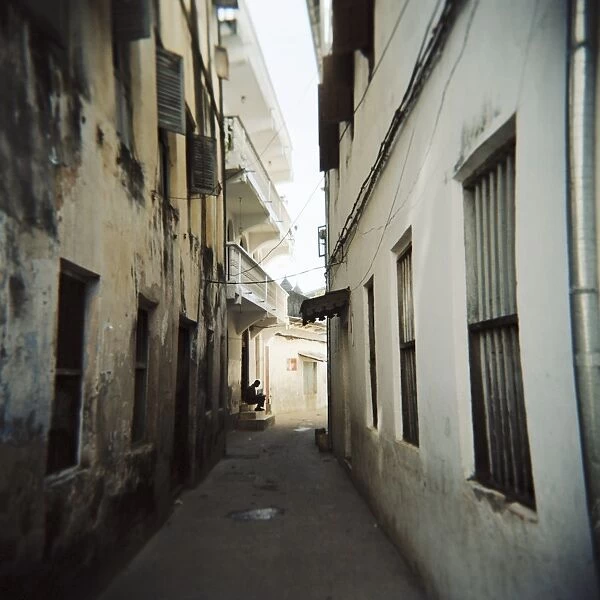 Narrow street with whitewashed houses, Stone Town, Zanzibar, Tanzania, East Africa