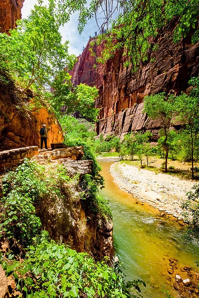 The Narrows Canyon Trail, Zion National Park, Utah, United States of America