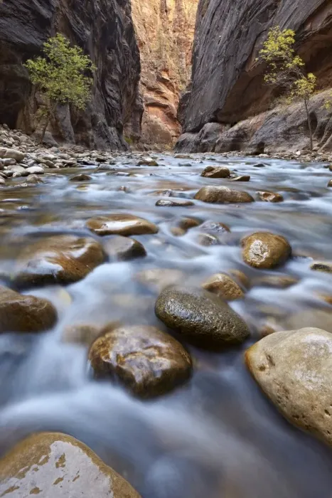 Framed Print : The Narrows of the Virgin River in the fall, Zion National Park, Utah, United States of America Framed Print : The Narrows of the Virgin River in the fall, Zion National Park, Utah, United States of America