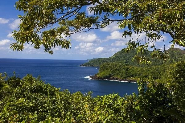 National Park of American Samoa, Tutuila Island, American Samoa, South Pacific, Pacific