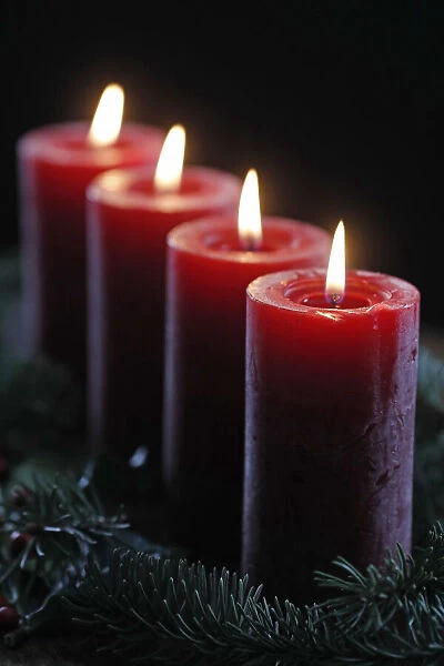 Natural Advent wreath or crown with four burning red candles, Christmas composition