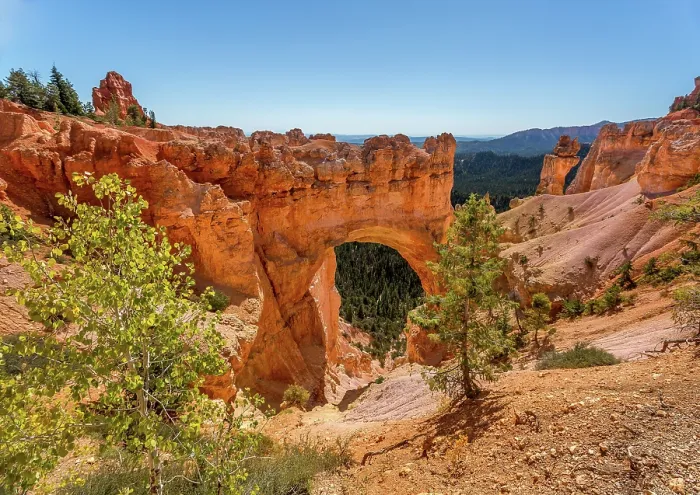 Framed Print : The Natural Bridge Arch at Bryce Canyon National Park, Utah, USA Framed Print : The Natural Bridge Arch at Bryce Canyon National Park, Utah, USA