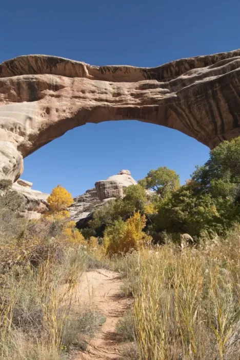 Framed Print : Natural Bridges National Monument, Utah, United States of America, North America Framed Print : Natural Bridges National Monument, Utah, United States of America, North America