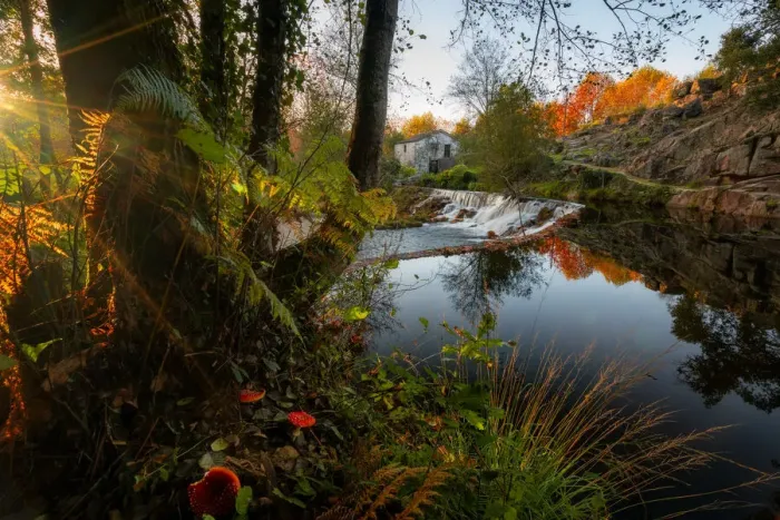 Framed Print : Natural landscape with red mushrooms with waterfall and water reflection at sunset in Framed Print : Natural landscape with red mushrooms with waterfall and water reflection at sunset in