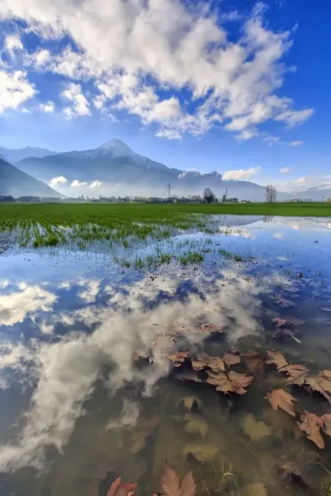 Framed Print : The natural reserve of Pian di Spagna flooded with Mount Legnone reflected in the water Framed Print : The natural reserve of Pian di Spagna flooded with Mount Legnone reflected in the water