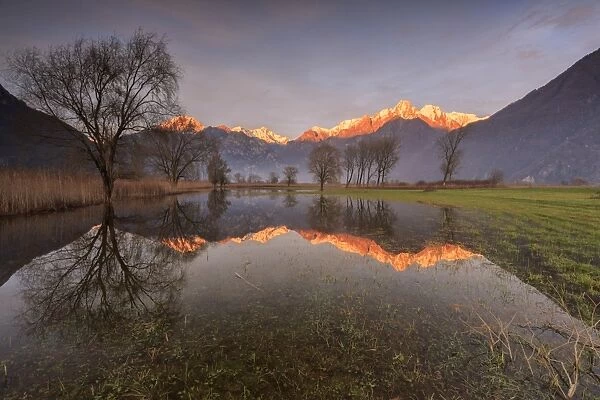 Natural reserve of Pian di Spagna flooded with snowy peaks reflected in the water at sunset