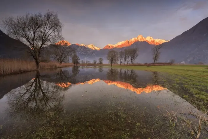Framed Print : Natural reserve of Pian di Spagna flooded with snowy peaks reflected in the water at sunset Framed Print : Natural reserve of Pian di Spagna flooded with snowy peaks reflected in the water at sunset
