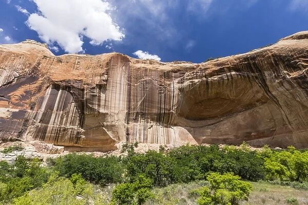 Navajo sandstone in Lower Calf Creek Falls Trail, Grand Staircase-Escalante National Monument