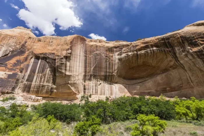 Framed Print : Navajo sandstone in Lower Calf Creek Falls Trail, Grand Staircase-Escalante National Monument Framed Print : Navajo sandstone in Lower Calf Creek Falls Trail, Grand Staircase-Escalante National Monument