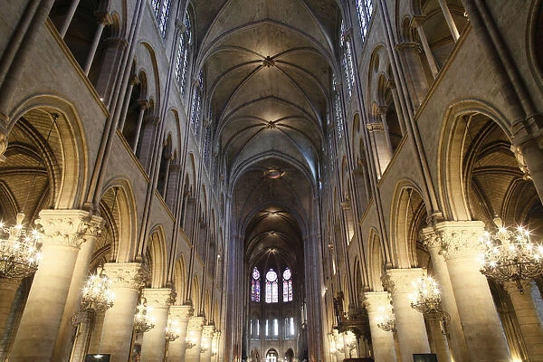 Nave, Notre-Dame de Paris cathedral, Paris, France, Europe