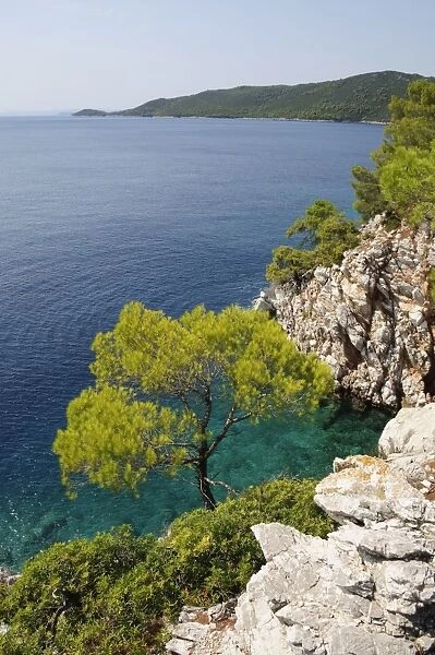 Near Agnotas, Skopelos, Sporades Islands, Greek Islands, Greece, Europe