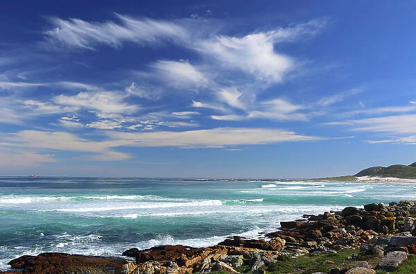 Near Cape of Good Hope, Cape Province, South Africa, Africa