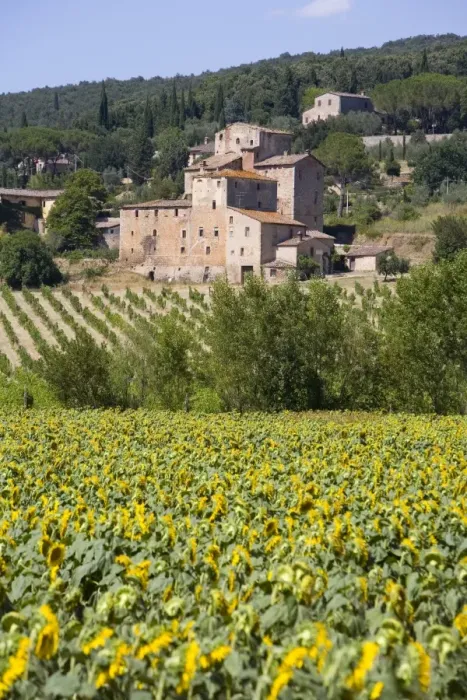 Framed Print : Near Siena, Val d Orcia, Tuscany, Italy, Europe Framed Print : Near Siena, Val d Orcia, Tuscany, Italy, Europe