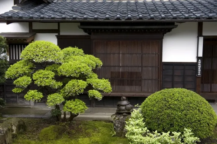 Framed Print : Neatly manicured landscape garden in courtyard of temple in Takufu, Fukui, Japan Framed Print : Neatly manicured landscape garden in courtyard of temple in Takufu, Fukui, Japan