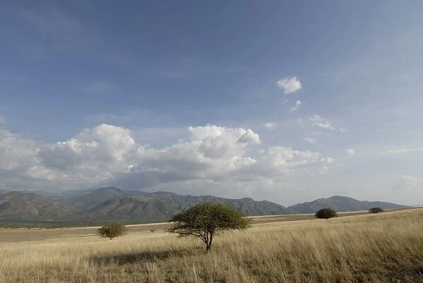Nechisar National Park, Ethiopia, Africa