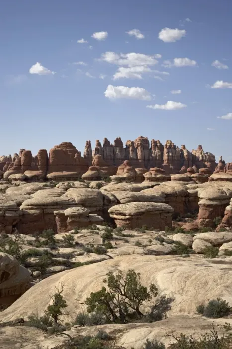 Framed Print : Needles near Elephant Hill, Canyonlands National Park (Needles District) Framed Print : Needles near Elephant Hill, Canyonlands National Park (Needles District)
