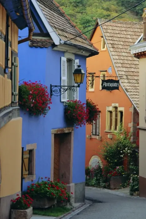 Framed Print : Neider Morschwir, Alsace, France, Europe Framed Print : Neider Morschwir, Alsace, France, Europe