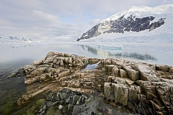 Neko Harbor, Antarctic Peninsula, Antarctica, Polar Regions