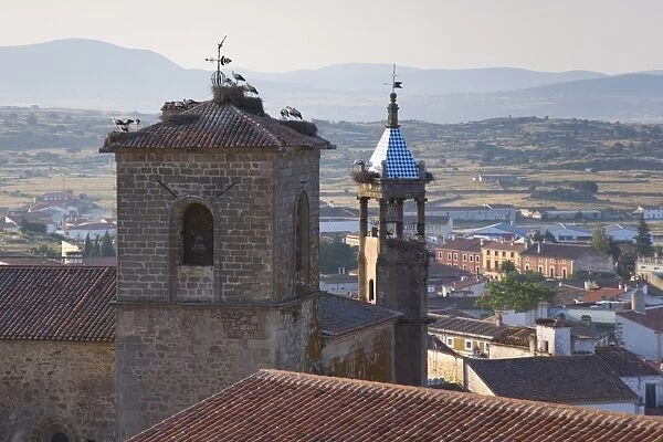 Nesting storks on the Iglesia de San Martin, Trujillo, Caceres, Extremadura