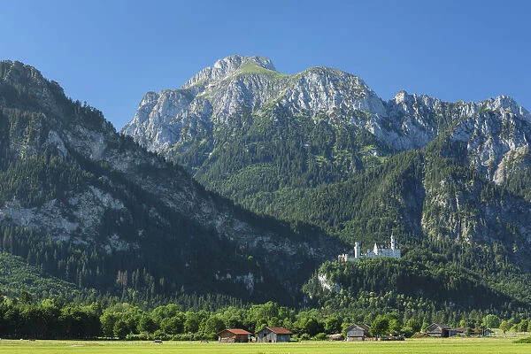 Neuschwanstein Castle and Lechtaler Alps, Schwangau, Allgau, Schwaben, Bavaria, Germany