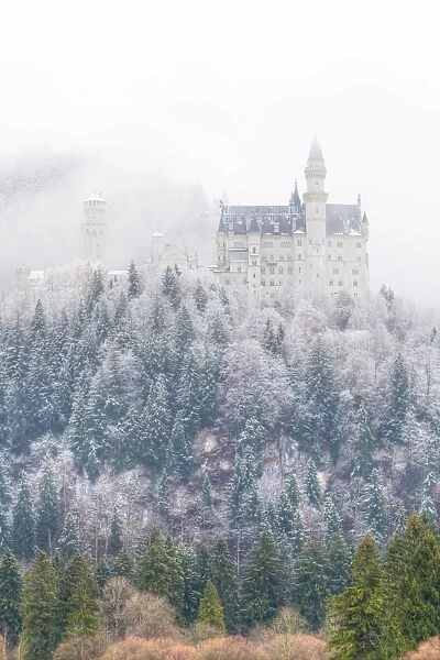 Neuschwanstein Castle in winter, Fussen, Bavaria, Germany, Europe