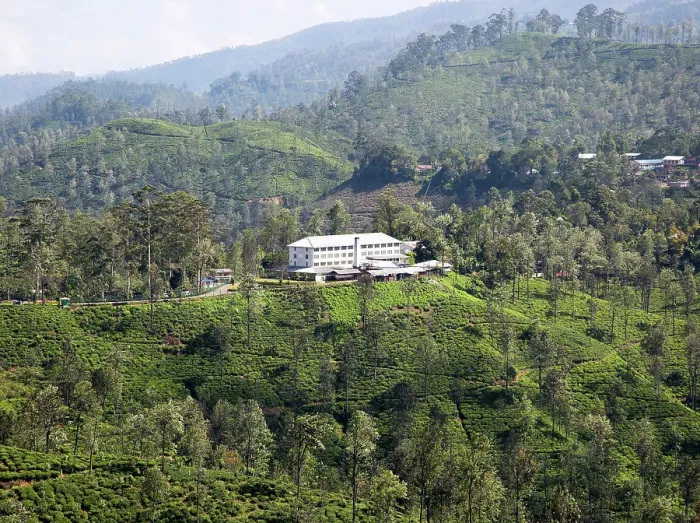 Framed Print : Newburgh tea factory and estate, Ella, Badulla District, Uva Province, Sri Lanka, Asia Framed Print : Newburgh tea factory and estate, Ella, Badulla District, Uva Province, Sri Lanka, Asia