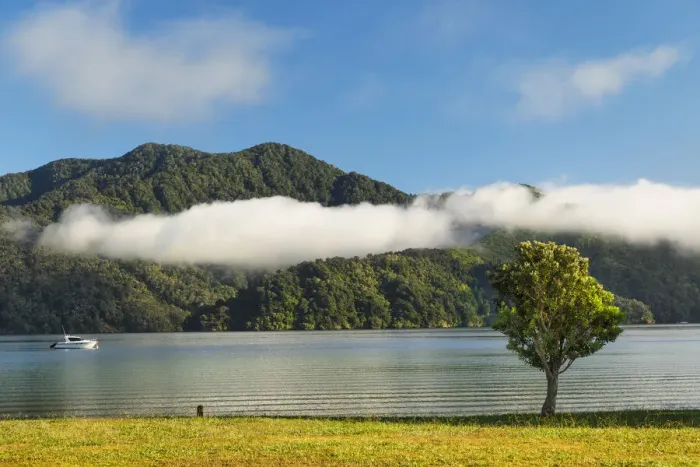 Framed Print : Ngakuta Bay, Marlborough Sounds, Picton, South Island, New Zealand, Pacific Framed Print : Ngakuta Bay, Marlborough Sounds, Picton, South Island, New Zealand, Pacific