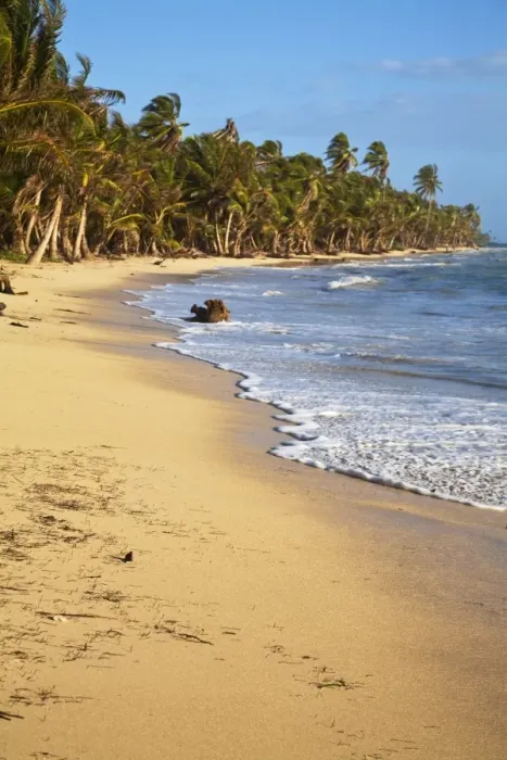 Framed Print : Nicar-812. Iguana Beach, Little Corn Island, Corn Islands, Nicaragua Framed Print : Nicar-812. Iguana Beach, Little Corn Island, Corn Islands, Nicaragua