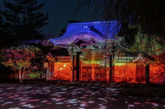 Framed Print : Night time illumination at temples during the cherry blossom (sakura) season and festivals in Kyoto, Honshu, Japan, Asia Framed Print : Night time illumination at temples during the cherry blossom (sakura) season and festivals in Kyoto, Honshu, Japan, Asia