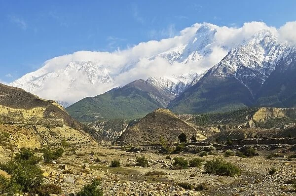 Nilgiri, seen from Jomsom, Annapurna Conservation Area, Mustang District, Dhawalagiri (Dhaulagiri), Western Region (Pashchimanchal), Nepal, Himalayas, Asia