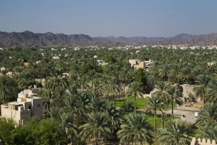 Framed Print : Nizwa, Oman, Middle East Framed Print : Nizwa, Oman, Middle East