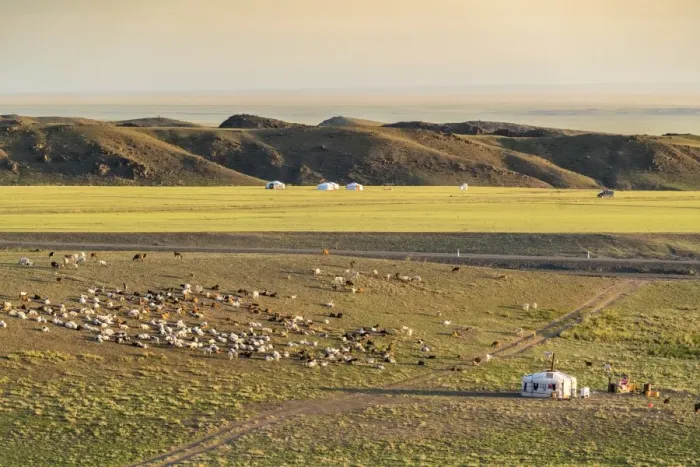 Framed Print : Nomadic camp and livestock, Bayandalai district, South Gobi province, Mongolia, Central Asia Framed Print : Nomadic camp and livestock, Bayandalai district, South Gobi province, Mongolia, Central Asia