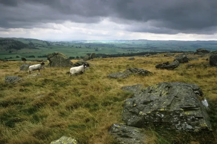Framed Print : Norber erratics near Austwick, erratic boulders left on limestone pavement by erosion Framed Print : Norber erratics near Austwick, erratic boulders left on limestone pavement by erosion