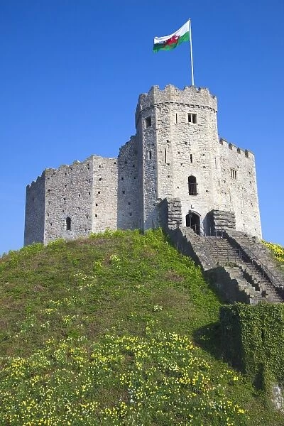 Norman Keep, Cardiff Castle, Cardiff, South Wales, Wales, United Kingdom, Europe