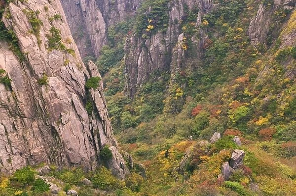 North Sea Scenic Area, Mount Huangshan (Yellow Mountain), Anhui Province, China, Asia