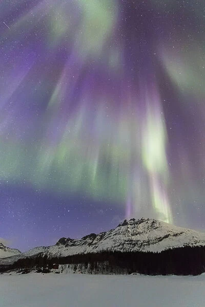 Northern Lights (Aurora borealis), Skoddebergvatnet, Grovfjord, Troms county, Lofoten Islands
