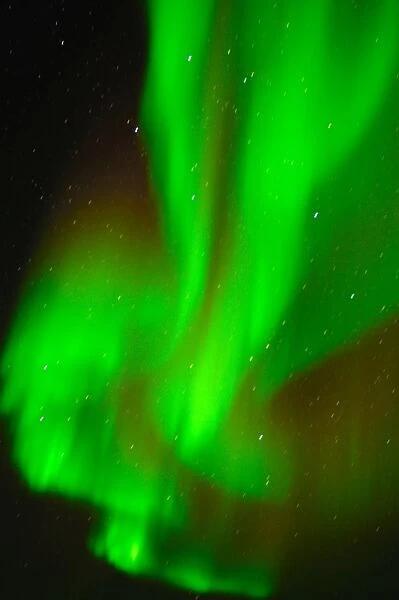 Northern Lights (Aurora borealis), Churchill, Hudson Bay, Manitoba, Canada, North America