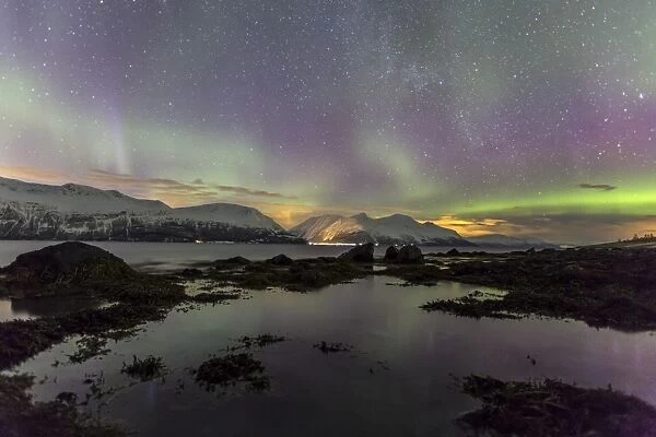 Northern Lights on the icy landscape of Svensby, Lyngen Alps, Troms, Lapland, Norway