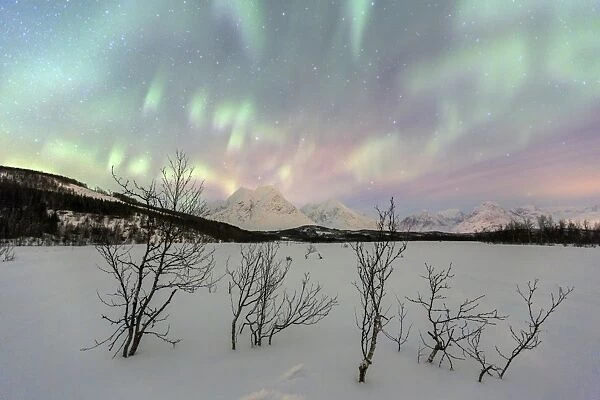 The Northern Lights illuminates the snowy landscape in Svensby, Lyngen Alps, Troms