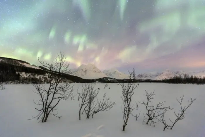 Framed Print : The Northern Lights illuminates the snowy landscape in Svensby, Lyngen Alps, Troms Framed Print : The Northern Lights illuminates the snowy landscape in Svensby, Lyngen Alps, Troms