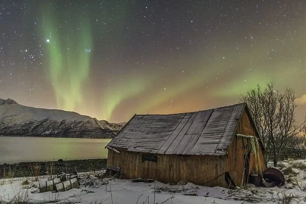 The Northern Lights illuminates the wooden cabin, Svensby, Lyngen Alps, Troms, Lapland