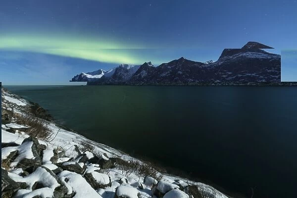 Northern Lights and stars over Senjahopen peak surrounded by the frozen sea, Senja