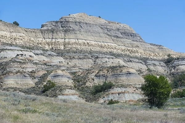 The northern part of the Roosevelt National Park, North Dakota, United States of America, North America
