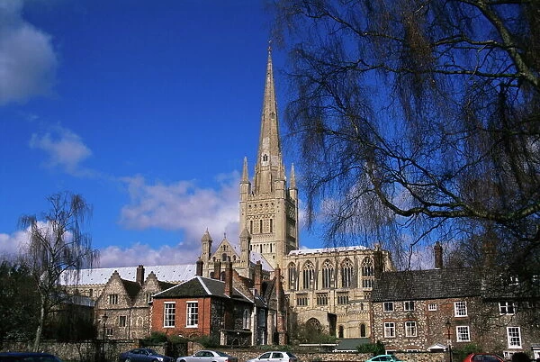 Norwich Cathedral from the Close, Norwich, Norfolk, England, United Kingdom, Europe