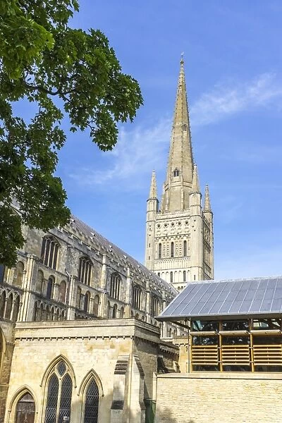 Norwich Cathedral, Norwich, England, UK, Europe